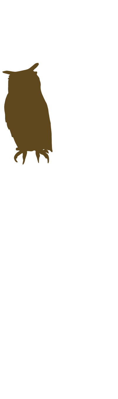 集-TUDOH-のお土産